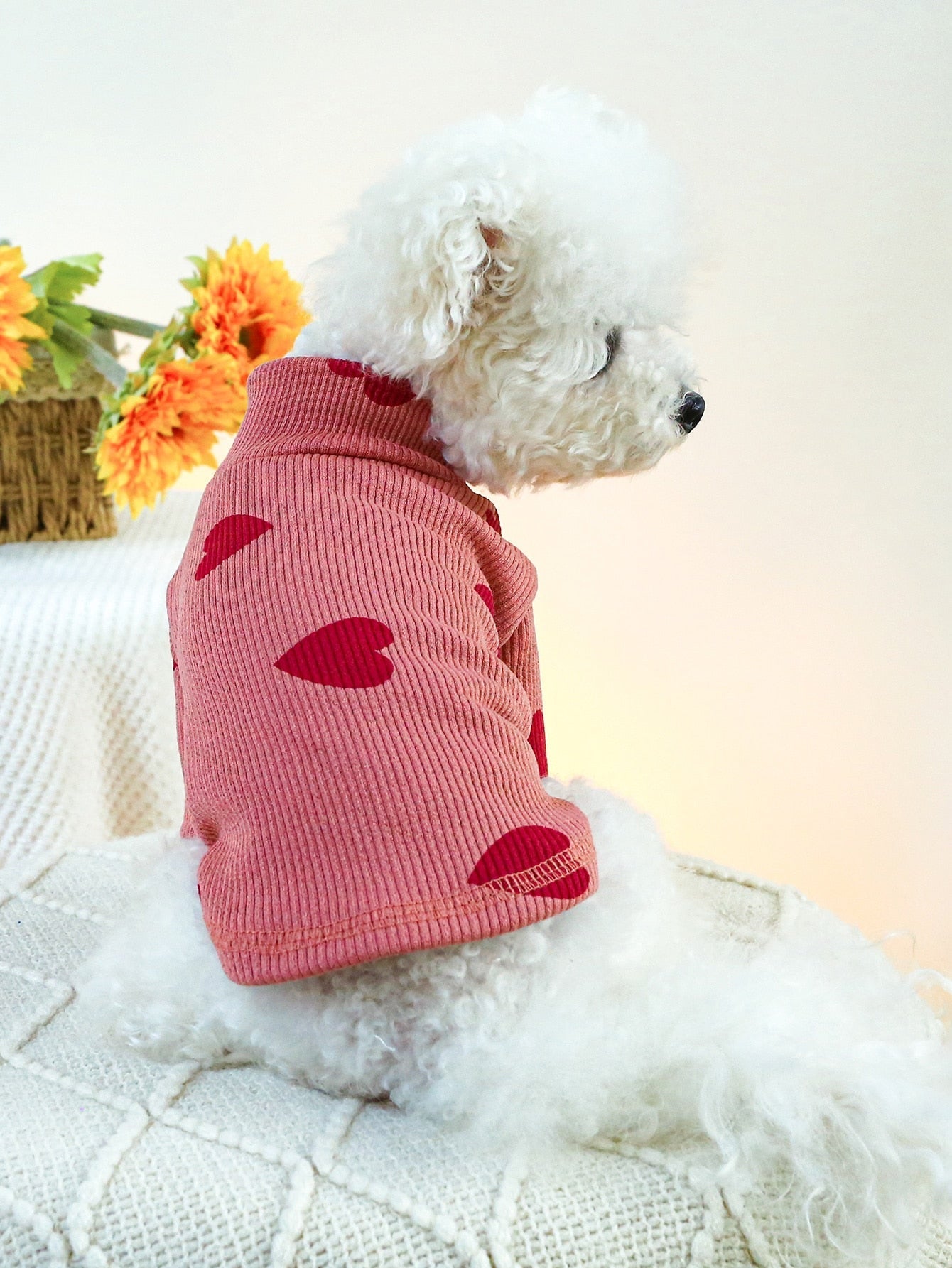 1pc Pet Sweatshirt For Small/Medium Dogs & Cats, Valentine's Day Outfit