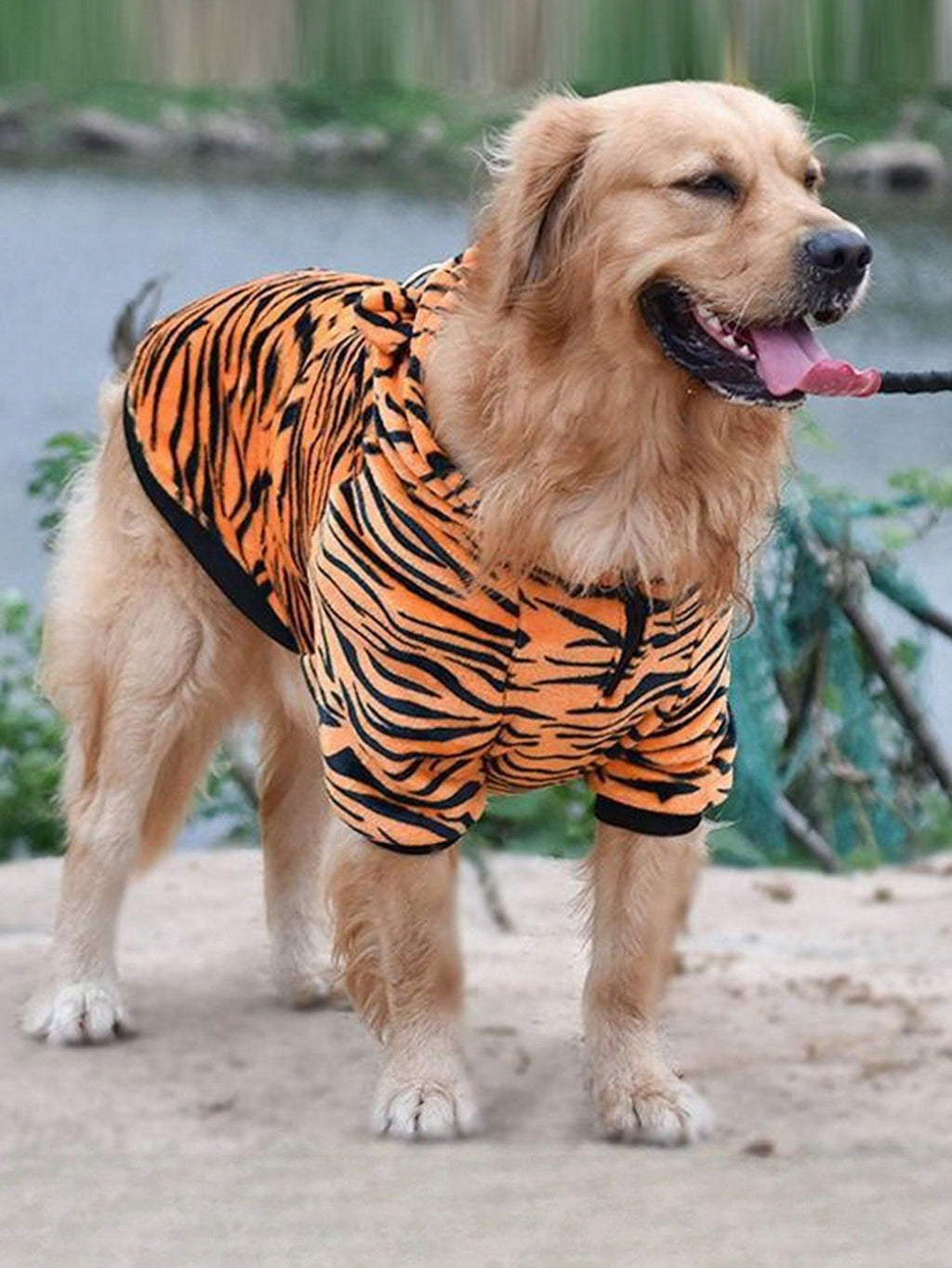 1pc Winter Warmer Pet Clothes For Medium To Large Sized Dogs Such As Golden Retriever / Labrador, With Funny Tiger Costume Design