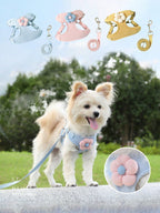 Pet Chest Harness With Leash,Small Dog Teddy Bichon Pomeranian Chest And Back Strap Pup Rope For Walking Training