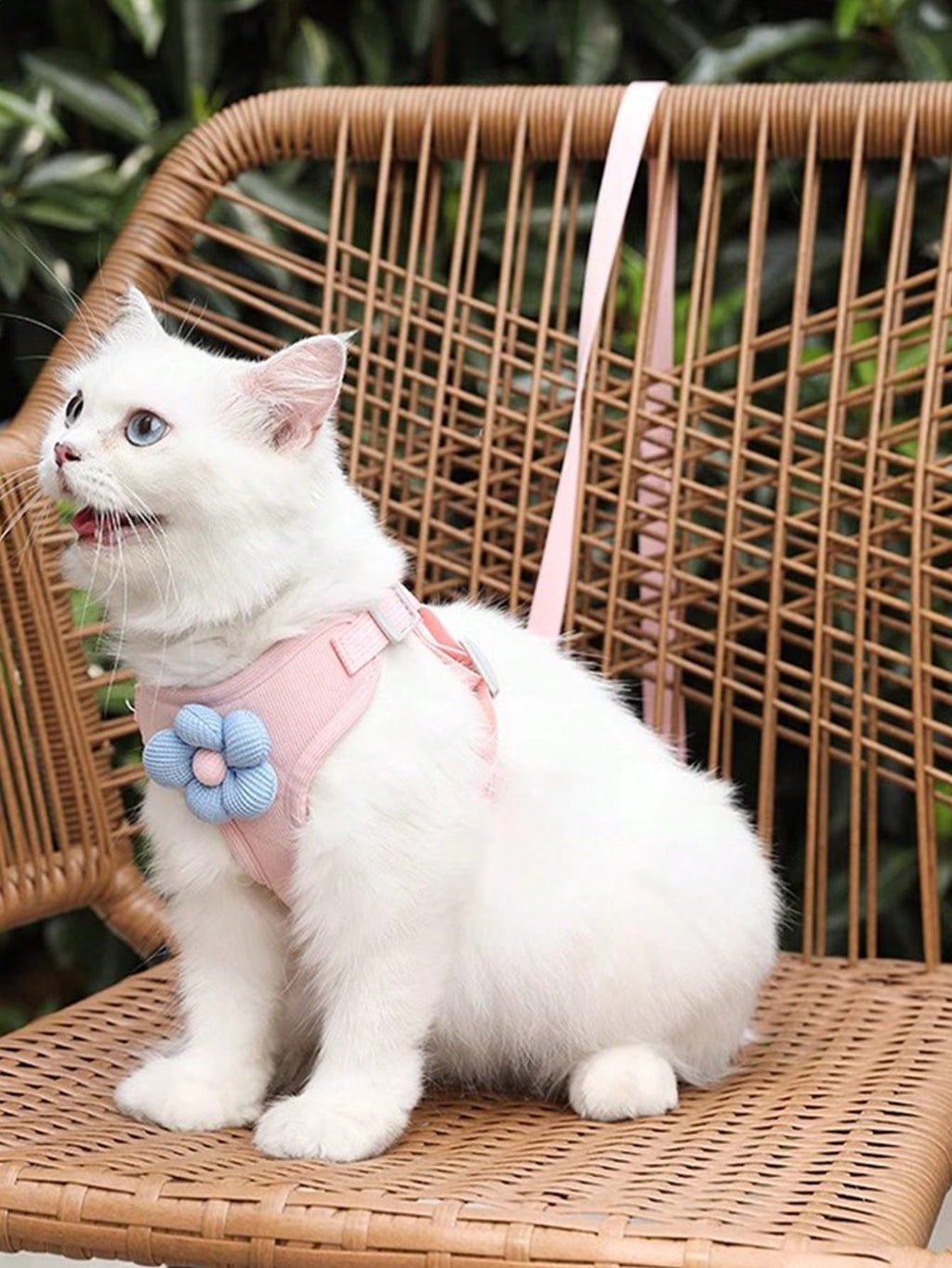 Pet Chest Harness With Leash,Small Dog Teddy Bichon Pomeranian Chest And Back Strap Pup Rope For Walking Training
