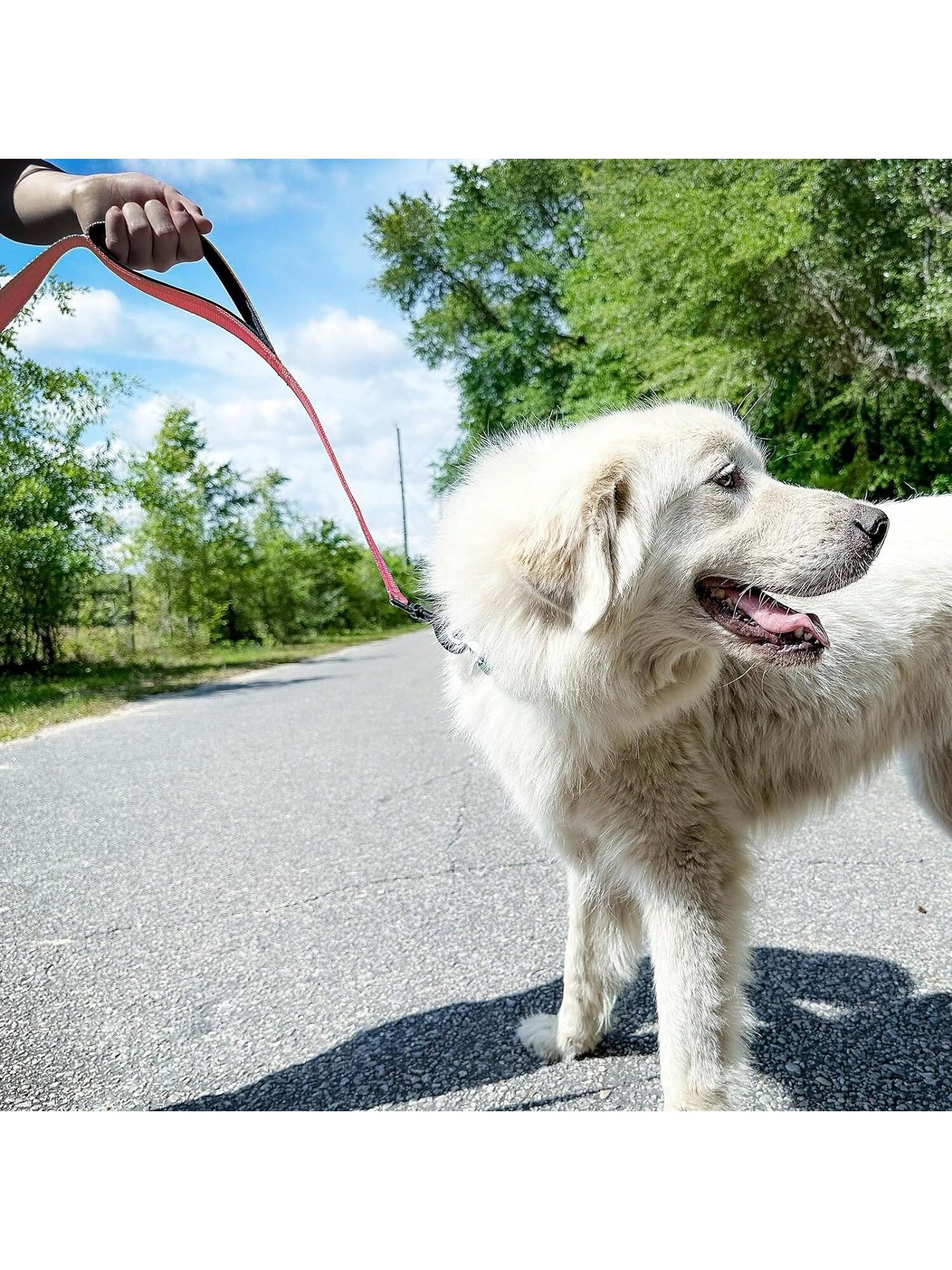 Heavy Duty Double Handle Dog Leash With Reflective Strips For Night Safety - Ideal For Large And Extra Large Breeds - Perfect For Outdoor Walking And Training