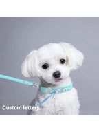 Personalized Dog Collar PU Leather Puppy Cat ID Collars With Rhinestone Heart Star Shaped Dog Accessory For Small Medium And Large Dogs