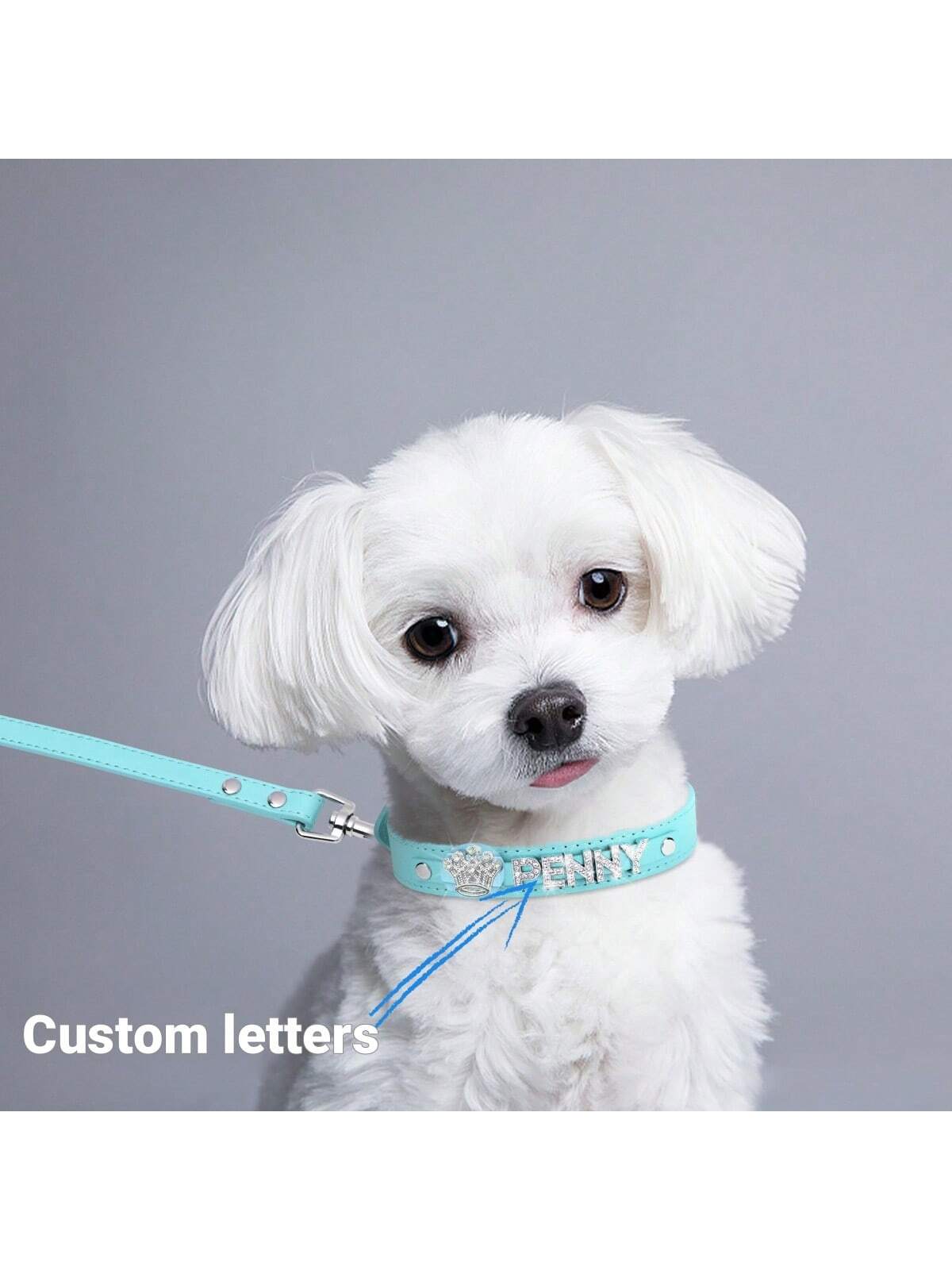 Personalized Dog Collar PU Leather Puppy Cat ID Collars With Rhinestone Heart Star Shaped Dog Accessory For Small Medium And Large Dogs