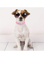 Personalized Dog Collar PU Leather Puppy Cat ID Collars With Rhinestone Heart Star Shaped Dog Accessory For Small Medium And Large Dogs