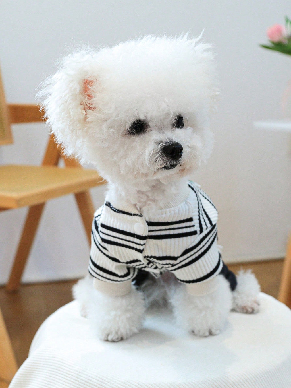 PETCIRCLE 1pc Pet Clothes Striped Denim Effect Elastic Pants For Small Medium Dogs Cats, Fashionable & Classic, Autumn/Winter New Arrival
