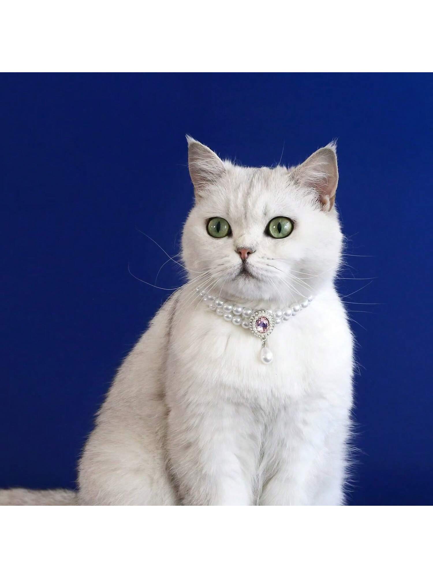 Elegant Light Luxury Small Cat Dog Double Pearl Pendant Necklace Maltese Yorkshire Poodle Noble Style Rhinestone Necklace Pet Wedding Party Collar Accessories Available In 3 Colors