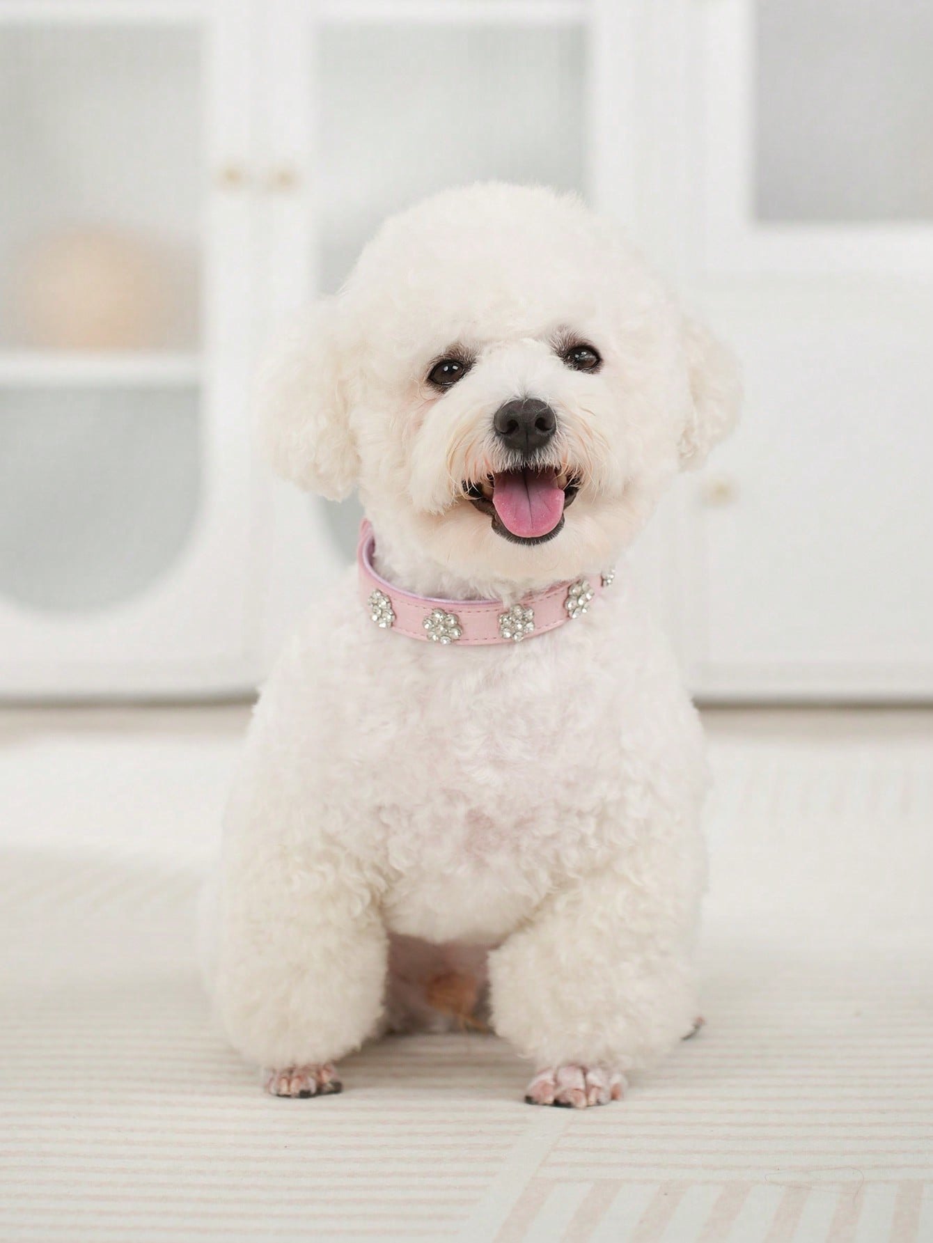 Sparkling Rhinestone Flower Dog Collar, Gradient Colorful Style, Luxurious And Flashy, Adjustable