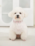 Sparkling Rhinestone Flower Dog Collar, Gradient Colorful Style, Luxurious And Flashy, Adjustable