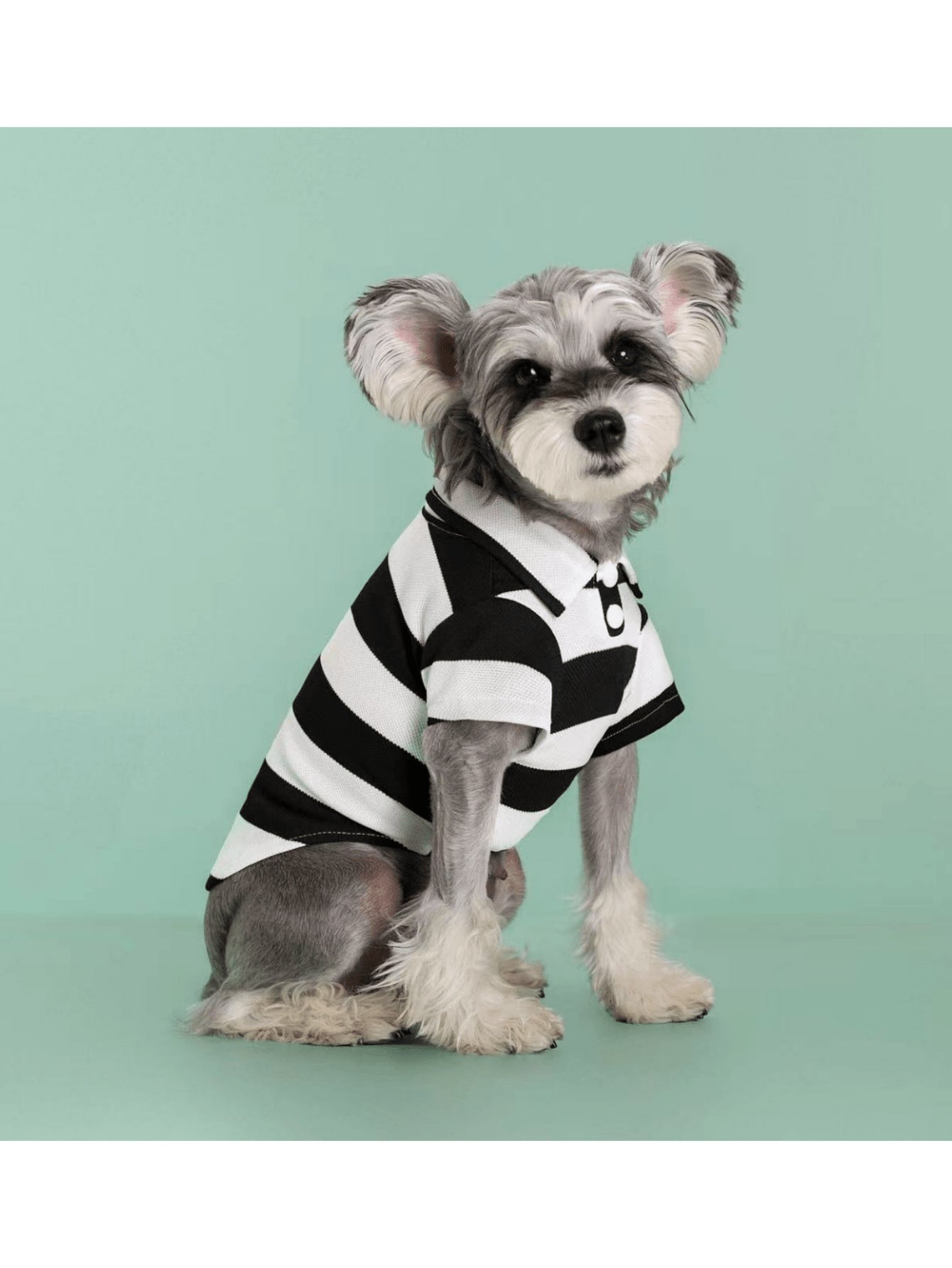 Pets, Cats, Dogs, Dog Clothes, Puppy Dog, Chihuahua Dog Clothes, Kitten Supplies, Dog Shirts, Striped Dog T-Shirts, Long Sleeve Small Dog & Cat Clothes Suitable For Medium & Small Breeds, French Bulldog, Dachshund, Yorkshire Terrier, Fashionable, Breatha