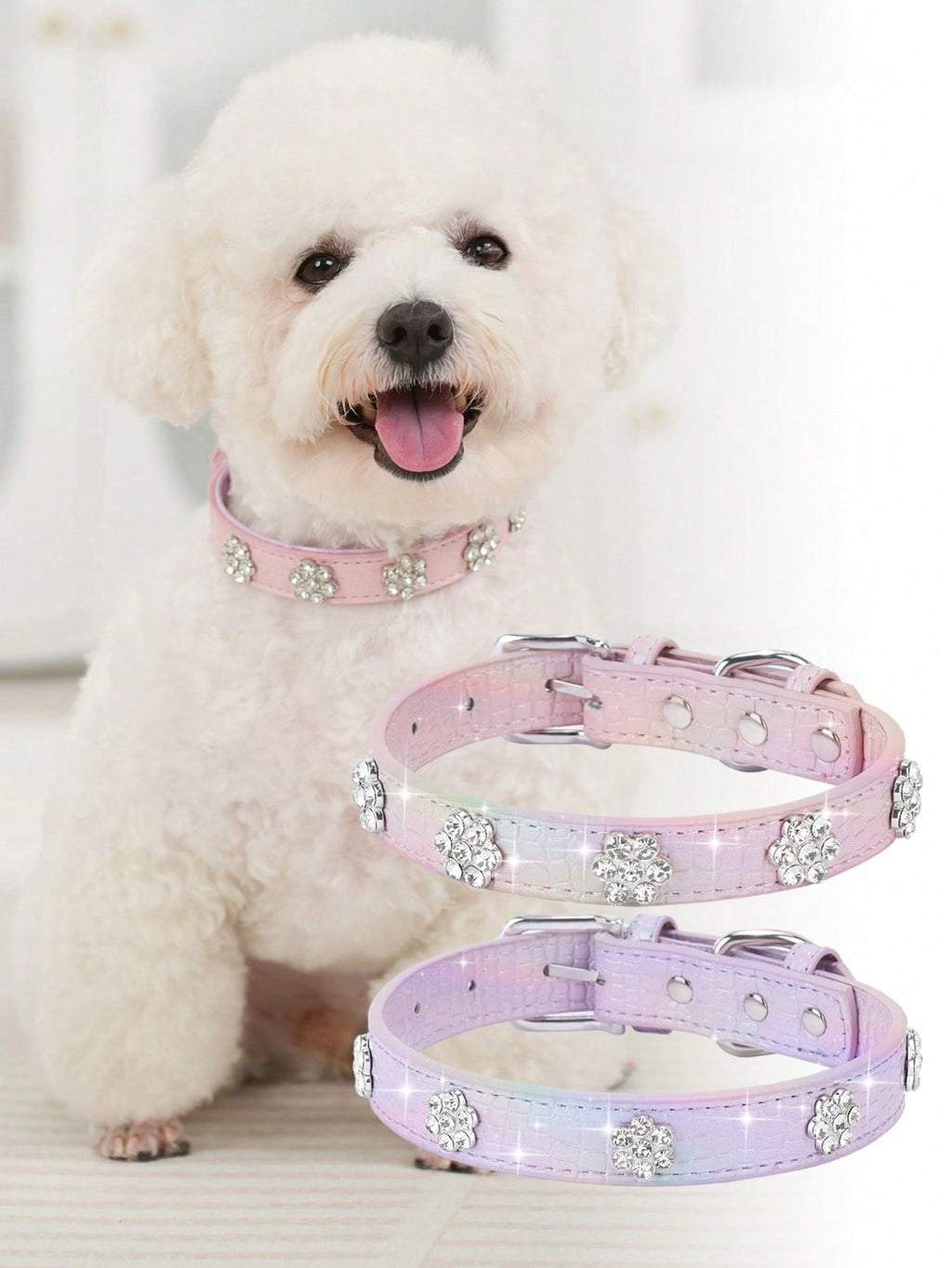 Sparkling Rhinestone Flower Dog Collar, Gradient Colorful Style, Luxurious And Flashy, Adjustable