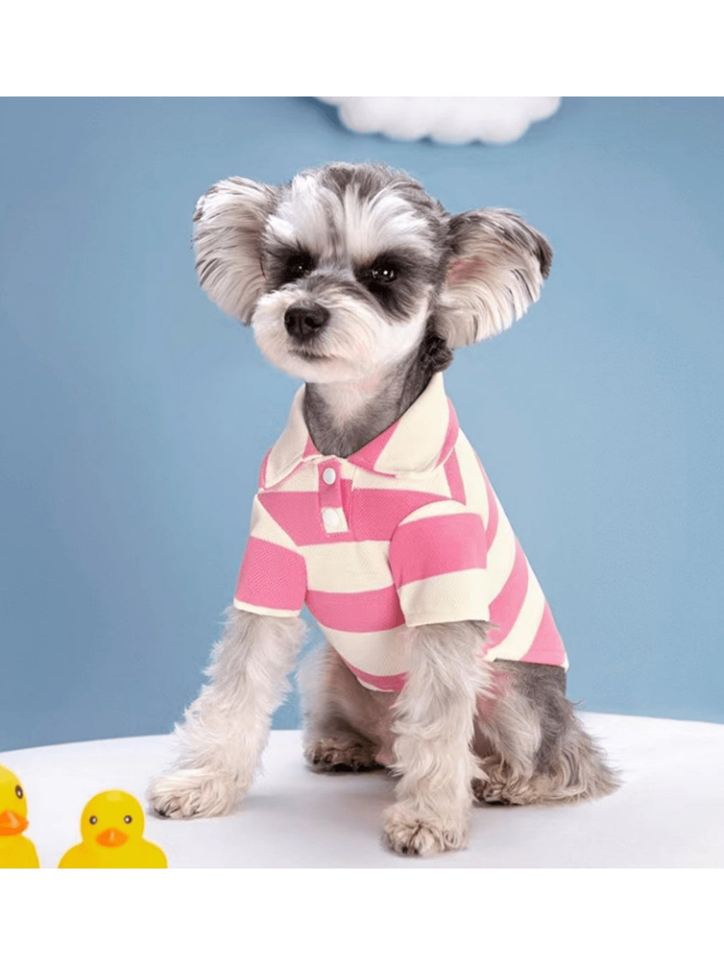 Pets, Cats, Dogs, Dog Clothes, Puppy Dog, Chihuahua Dog Clothes, Kitten Supplies, Dog Shirts, Striped Dog T-Shirts, Long Sleeve Small Dog & Cat Clothes Suitable For Medium & Small Breeds, French Bulldog, Dachshund, Yorkshire Terrier, Fashionable, Breatha