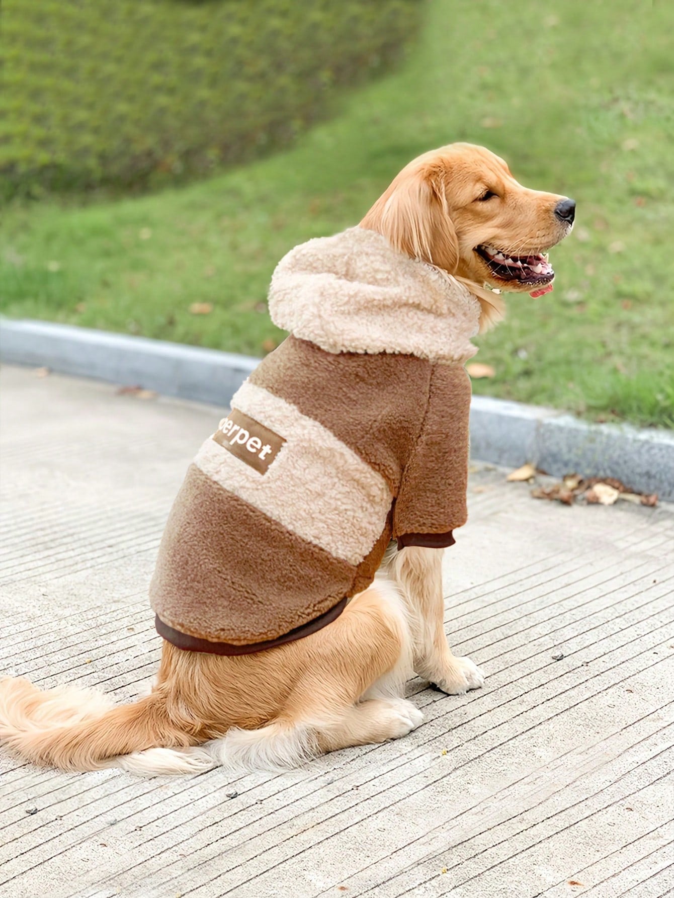 1pc Thick Fleece Hooded Sweatshirt Coat, Warm & Windproof For Medium/Large Dogs, Autumn/Winter