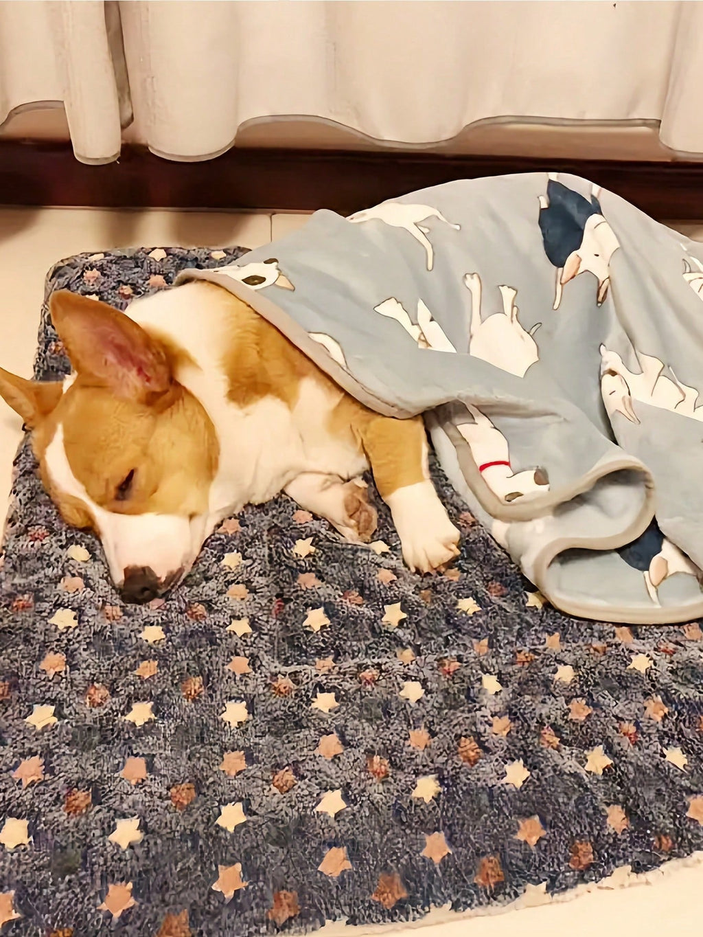 Luxury Plush Pet Blanket, Thick Warm Breathable Soft Comfortable Pet Cat Dog Bed Mat,Machine Washable, Indoor Blanket Suitable For All Sizes Of Pets In Winter