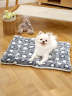 Luxury Plush Pet Blanket, Thick Warm Breathable Soft Comfortable Pet Cat Dog Bed Mat,Machine Washable, Indoor Blanket Suitable For All Sizes Of Pets In Winter