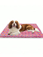 Luxury Plush Pet Blanket, Thick Warm Breathable Soft Comfortable Pet Cat Dog Bed Mat,Machine Washable, Indoor Blanket Suitable For All Sizes Of Pets In Winter
