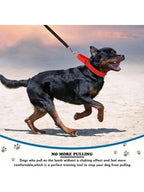Dog Neck Leash For Outdoor Walking Adjustable Neck Leash For Dogs Sturdy Martingale Nylon Dog Collar Adjustable Soft Puppy Pet Collar For Small Large Dogs Training Control Prevents Slipping Out