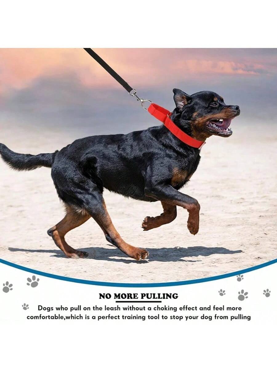 Dog Neck Leash For Outdoor Walking Adjustable Neck Leash For Dogs Sturdy Martingale Nylon Dog Collar Adjustable Soft Puppy Pet Collar For Small Large Dogs Training Control Prevents Slipping Out