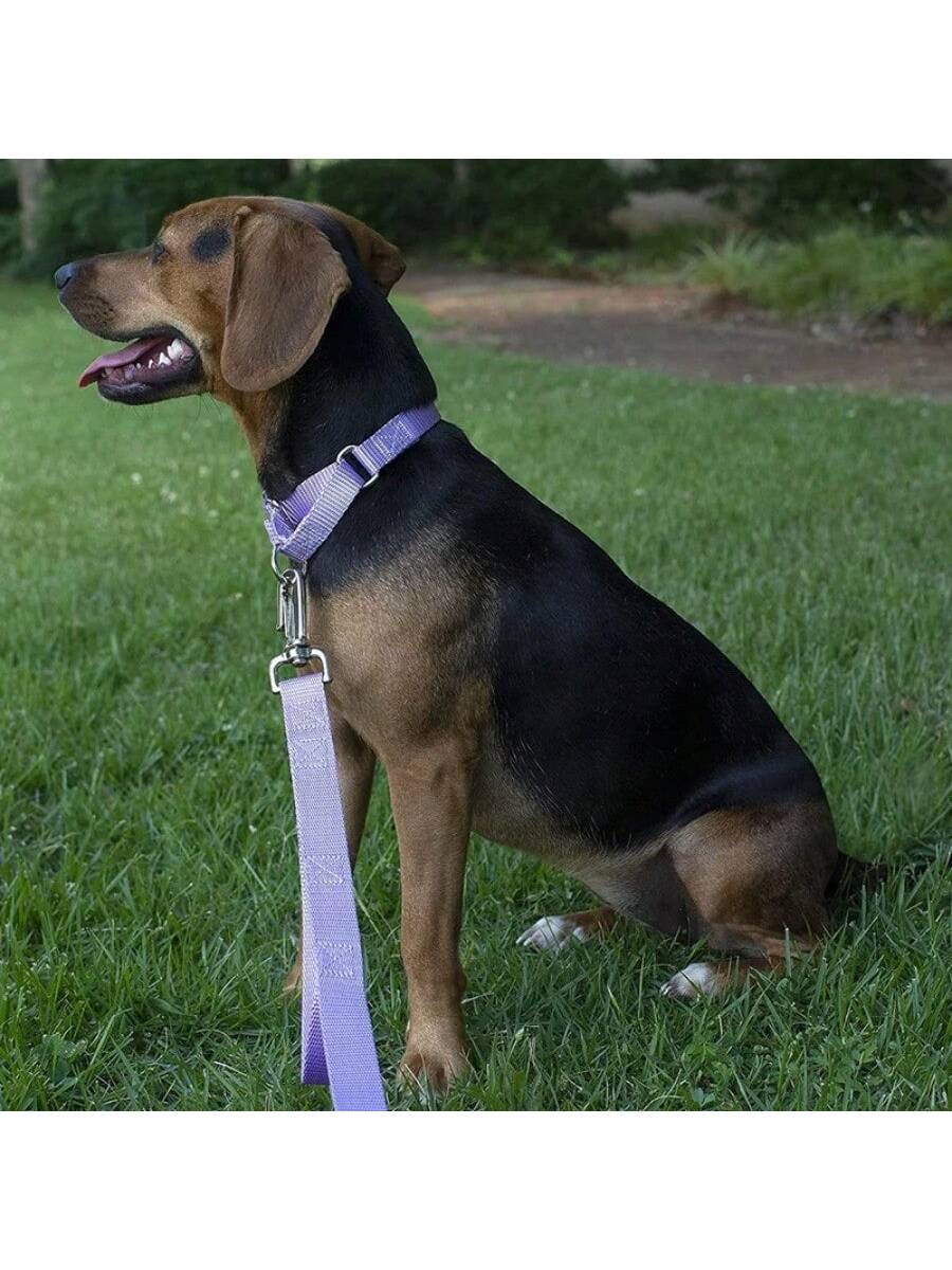 Dog Neck Leash For Outdoor Walking Adjustable Neck Leash For Dogs Sturdy Martingale Nylon Dog Collar Adjustable Soft Puppy Pet Collar For Small Large Dogs Training Control Prevents Slipping Out