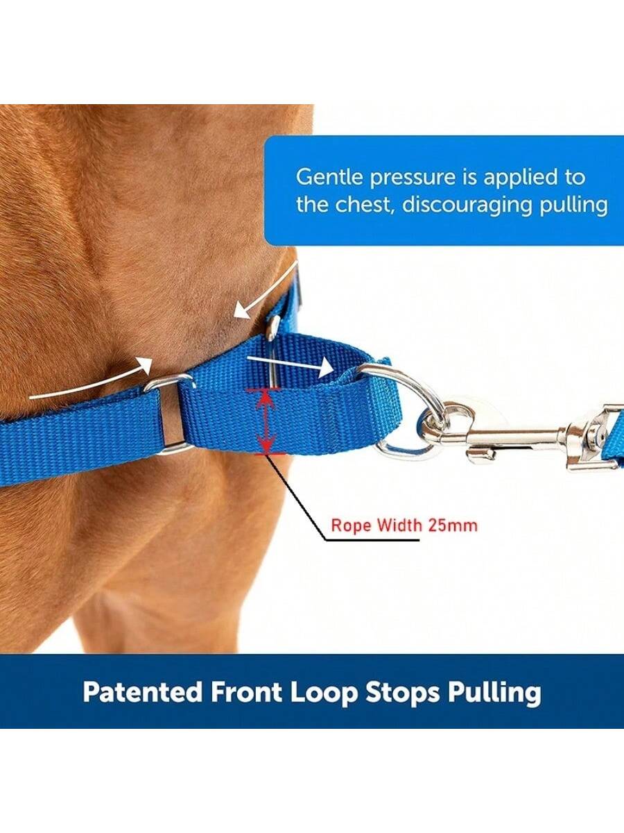 Dog Neck Leash For Outdoor Walking Adjustable Neck Leash For Dogs Sturdy Martingale Nylon Dog Collar Adjustable Soft Puppy Pet Collar For Small Large Dogs Training Control Prevents Slipping Out
