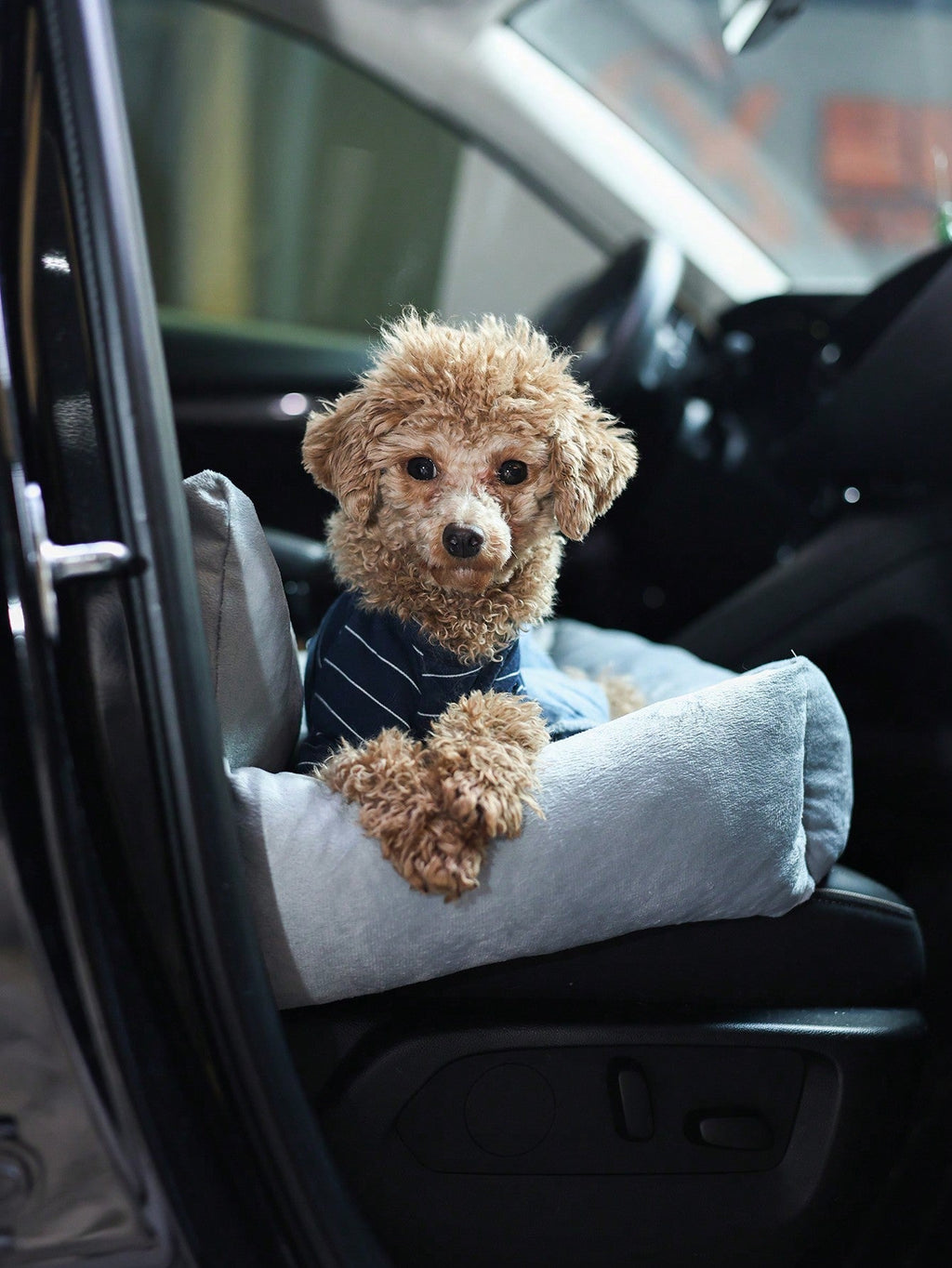 1pc Detachable Pet Car Seat Cushion, All Season Use, Pet Car Seat, Pet Bed With Safety Belt And Tether Leash, Suitable For Medium To Small Cats & Dogs