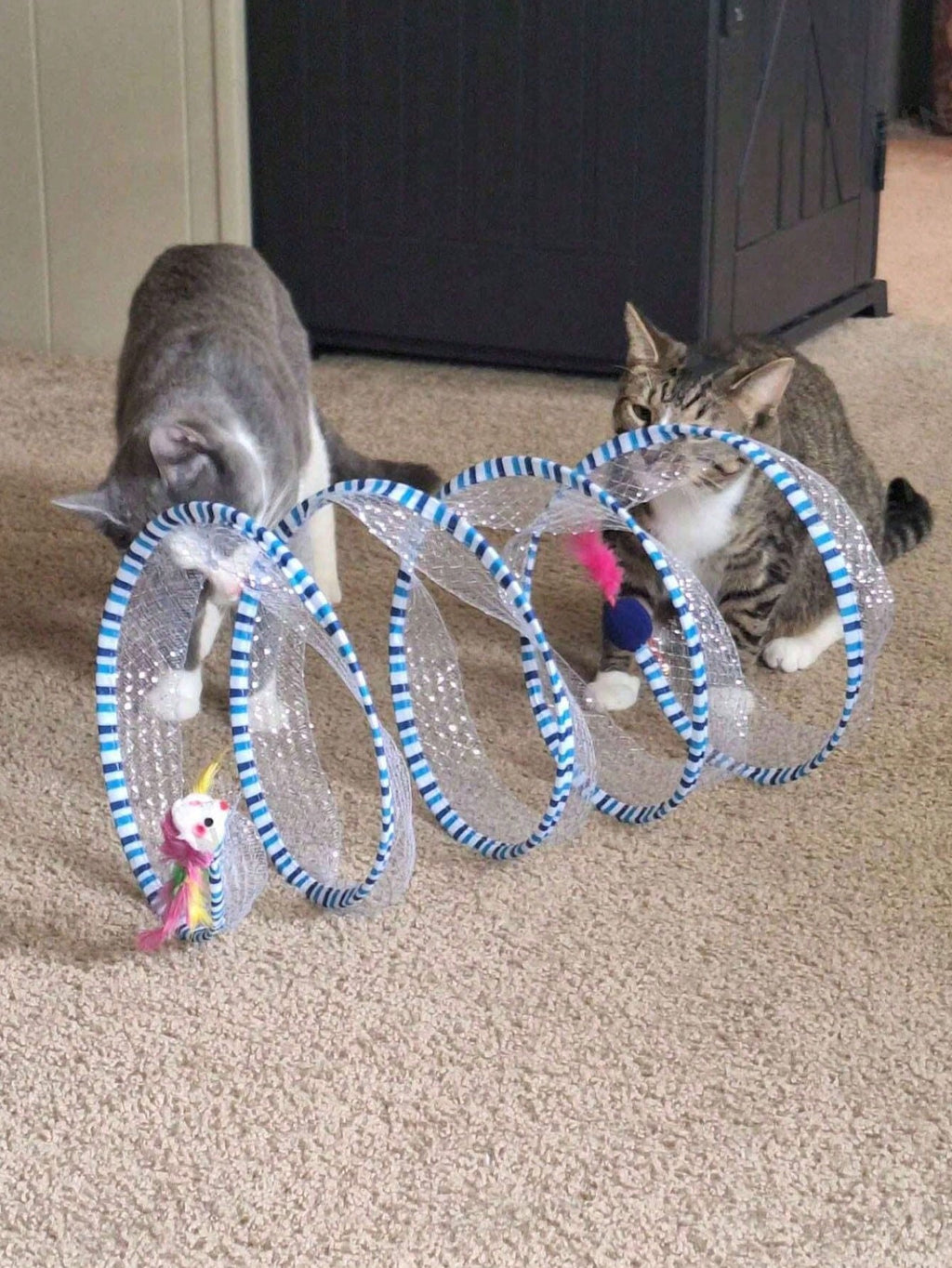 Pack Of 1 / Pack Of 2 - S-Shape Cat Tunnel Toy, Wire Mesh & Gauze Patchwork Design, Foldable With Sound Effect, Suitable For Indoor Family Entertainment & Stress Relief