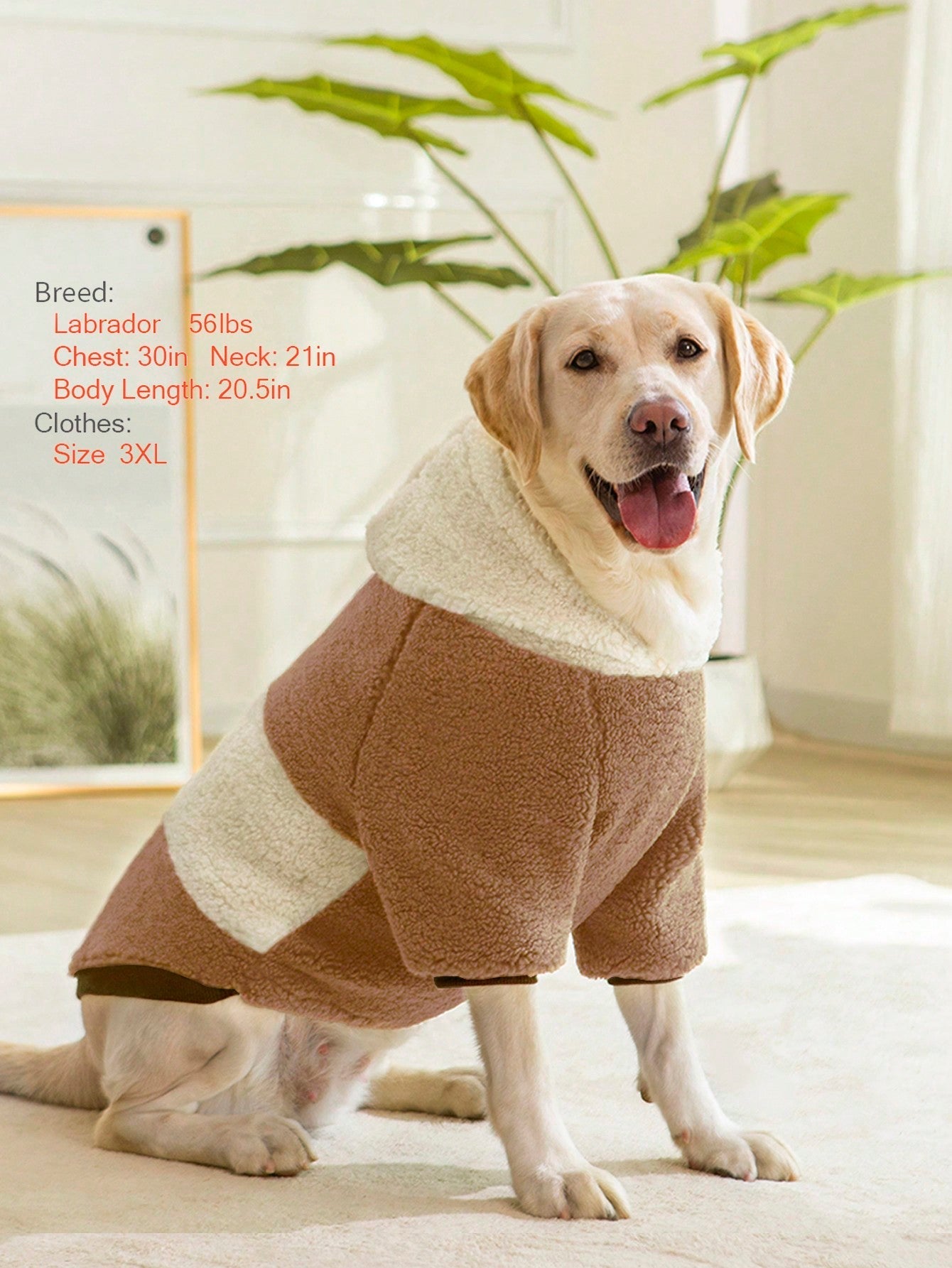 1pc Thick Fleece Hooded Sweatshirt Coat, Warm & Windproof For Medium/Large Dogs, Autumn/Winter