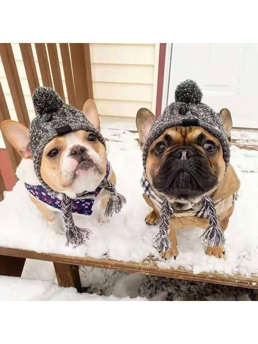 Winter Warm Dog Hats Windproof Knitting French Bulldog Hat For Dogs Chihuahua Hat Fluffy Ball Pet Hat Puppy Accessories