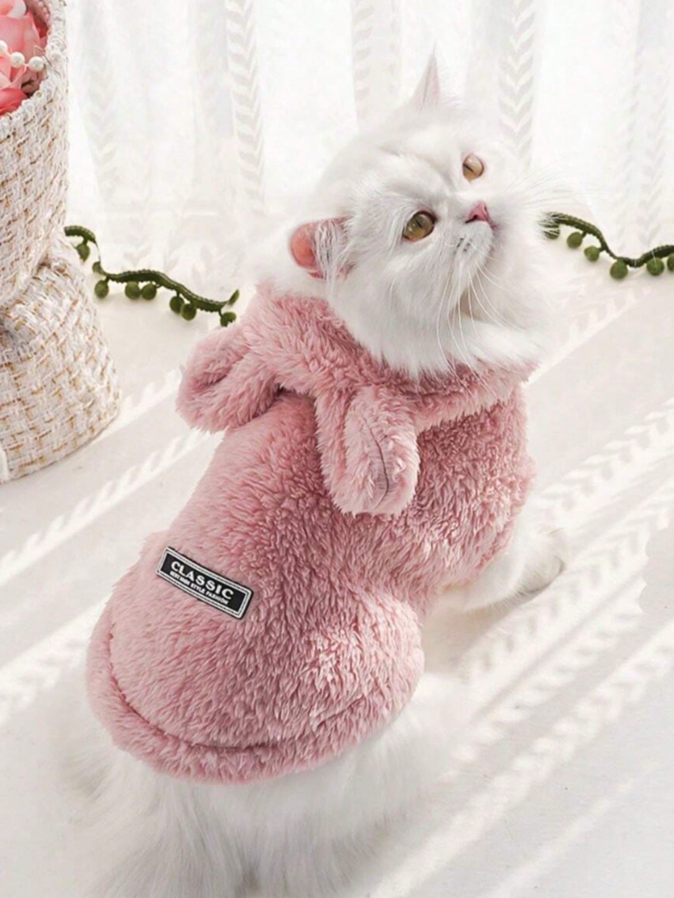 Autumn And Winter Casual Warm Hooded Pet Sweatshirt
