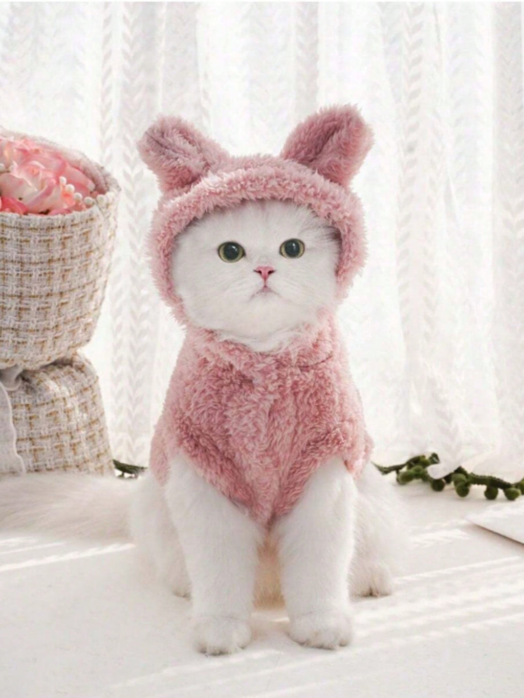Autumn And Winter Casual Warm Hooded Pet Sweatshirt