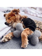 1 Piece Personalized Puppy Gift, Personalized Puppy Birthday Gift, Durable Pet Toy, Personalized Pet Gift