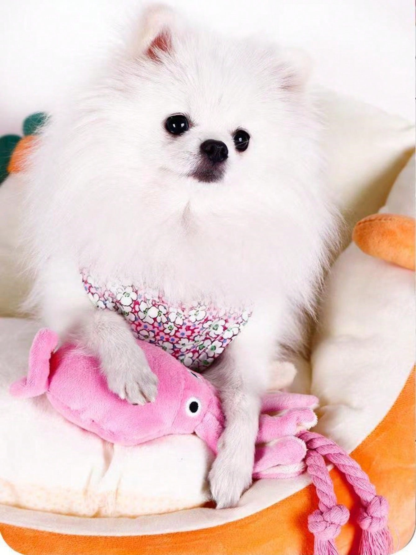 A New Dog Doll Octopus Plush Doll For Grinding Teeth And Cleaning, Suitable For Golden Retrievers, Teddy & Poodle Breeds, Pet Dolls For Entertainment Only