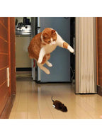 Color Random Kitten Toys Interactive Running Mouse Plush Toys Mouse Cat Toys Winding Up Racing Mouse Kitten Filling Mobile Pet Cat Outdoor Kitten Play Battery-Free Mechanical Mouse Toy Lifelike Simulation, Helps Consume Feline Energy