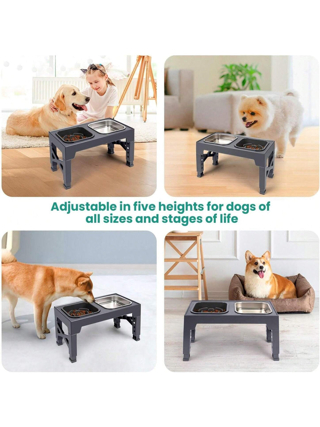 Niubya Elevated Dog Bowls With 2 Stainless Steel Dog Food Bowls, Raised Dog Bowl Adjusts To 5 Heights (3.15", 8.66", 9.84",11.02", 12.2") For Small Medium And Large Dogs