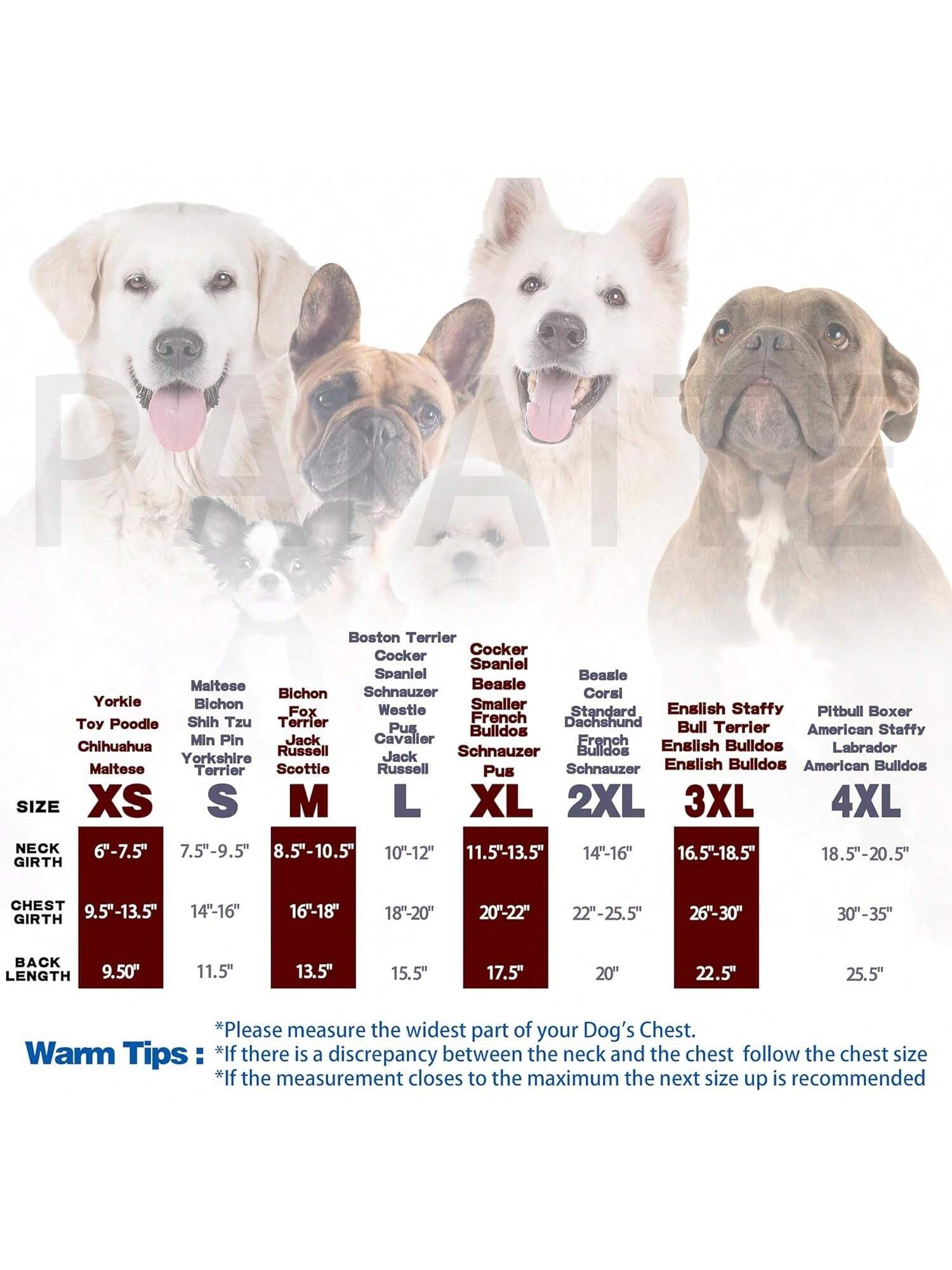 Personality Canine Attire: Soft, Lightweight Cotton Dog Clothes With 'The Dog Face' Print. Small And Medium Breeds, Everyday Wear, Comfortable And Breathable Dog Shirt