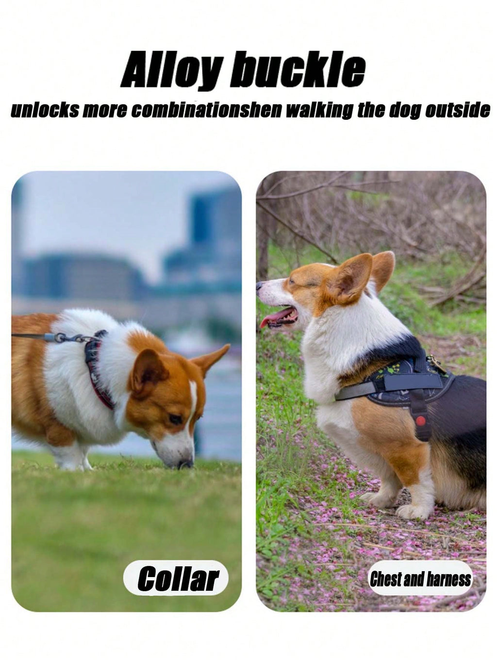 Extendable Pet Leash, Small/Medium/Large Dog Leash, Essential Pet Supply, Collision-Proof Dog Walking Lead, Outdoor Product