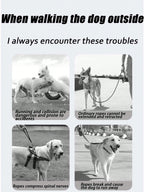 Extendable Pet Leash, Small/Medium/Large Dog Leash, Essential Pet Supply, Collision-Proof Dog Walking Lead, Outdoor Product