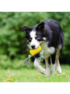 1pc Pet Dog Toy Grinding Stick, Bite Resistant, Bone Cleaning Toothbrush, Corn Belt Rope Pet Stick