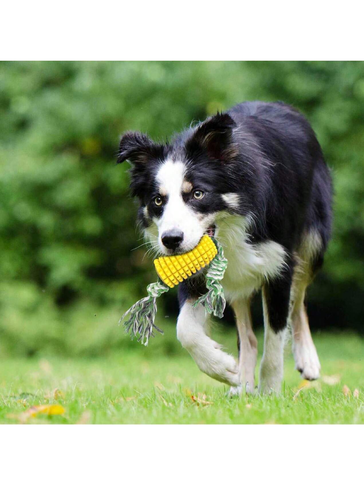 1pc Pet Dog Toy Grinding Stick, Bite Resistant, Bone Cleaning Toothbrush, Corn Belt Rope Pet Stick