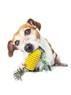 1pc Pet Dog Toy Grinding Stick, Bite Resistant, Bone Cleaning Toothbrush, Corn Belt Rope Pet Stick