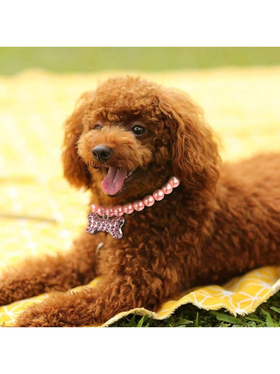 CGLLCute Cat And Dog Necklace5 Pcs Pet Pearl Necklace Diamond Crystal Dog Pearl Necklace Collars With Bling Rhinestones Bone Dog Cat Jewelry Set Wedding Collar For Puppy Pets S LHCG5102