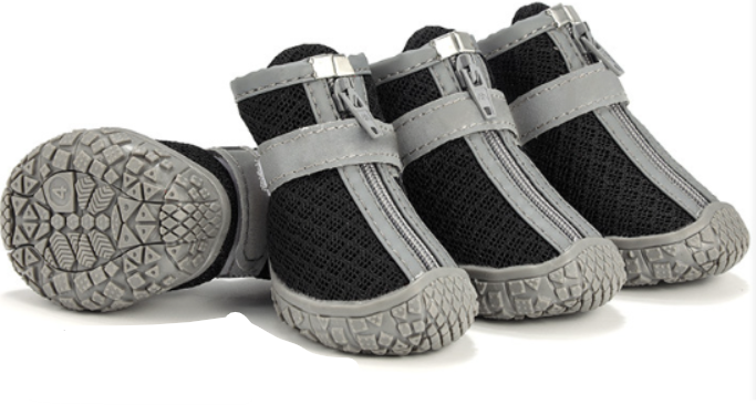 Pet Shoes