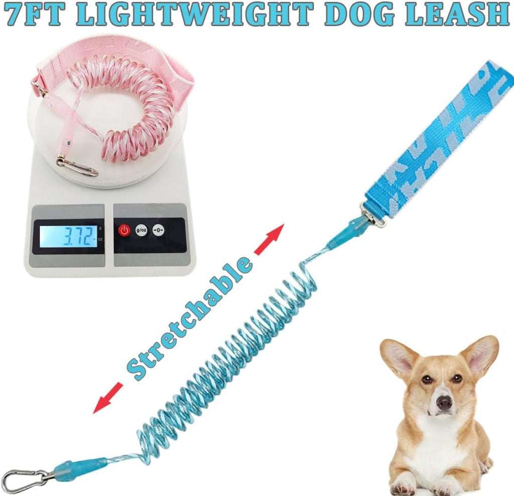 WYuZe 5FT Puppy Leash + Chew Proof Dog Leash with Shock Absorption for Small Dogs, Blue