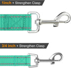 Joytale Dog Leash, 6 FT Double-Sided Reflective, Padded Handle Nylon Heavy Duty Leashes for Medium & Large Dogs Walking, Teal, 6FT
