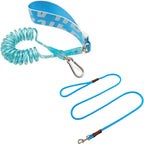 WYuZe 5FT Puppy Leash + Chew Proof Dog Leash with Shock Absorption for Small Dogs, Blue