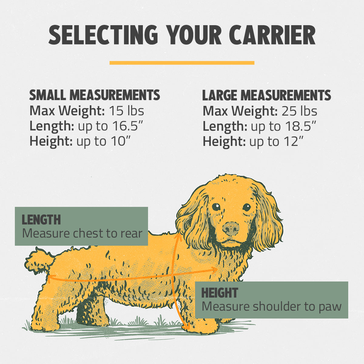OUT-OF-OFFICE PET CARRIER PRO EDITION