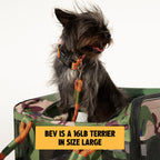 OUT-OF-OFFICE PET CARRIER PRO EDITION