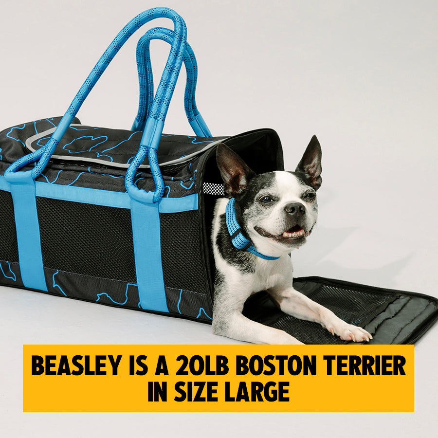OUT-OF-OFFICE PET CARRIER PRO EDITION