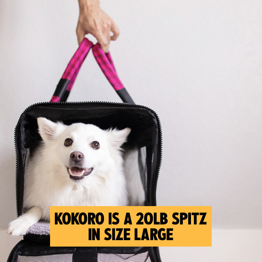 OUT-OF-OFFICE PET CARRIER PRO EDITION